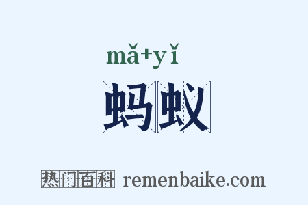 蚂蚁是什么意思的图片